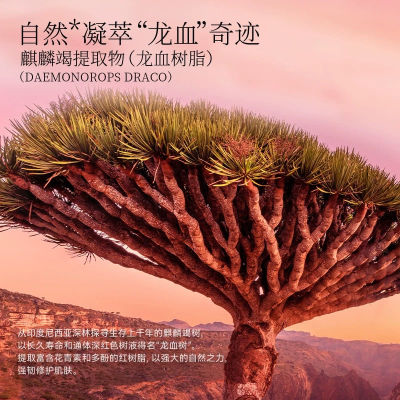 FAN BEAUTY DIARY 范冰冰同款【龙血】修复舒缓面膜 5片/盒