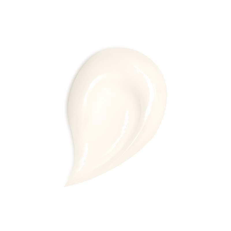 Guerlain ABEILLE ROYALE Day Cream 50ml 娇兰帝皇蜂姿蜜护日霜